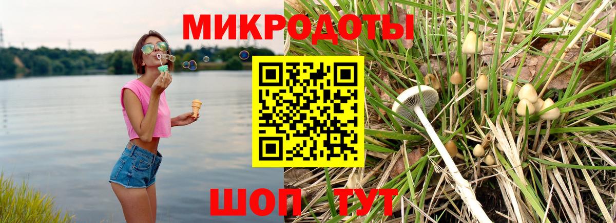 Керчь  Псилоцибиновые грибы Psilocybe  где можно купить наркотик  Вход с VPN 