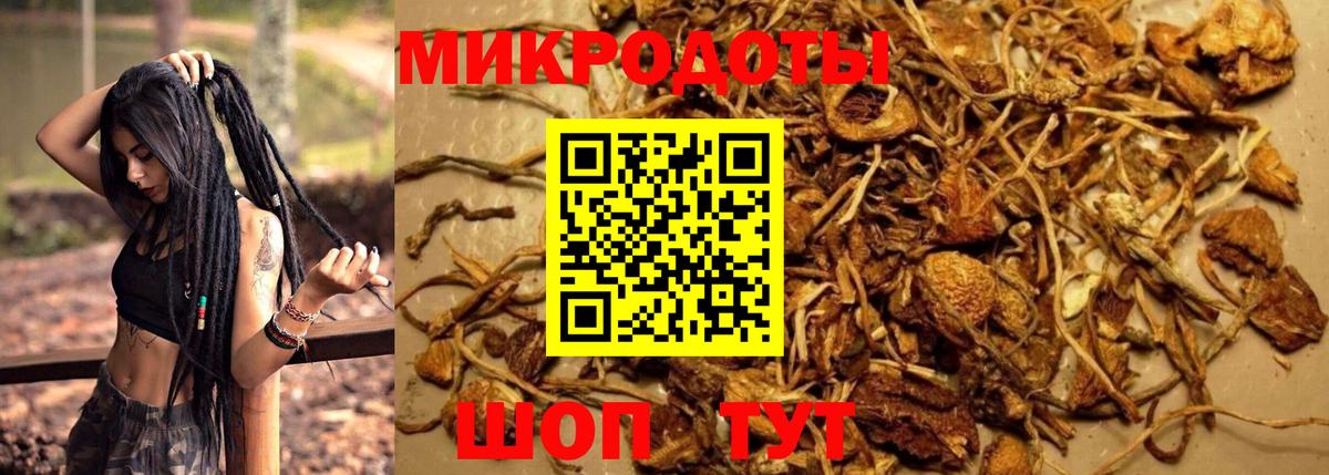 Псилоцибиновые грибы ЛСД Керчь